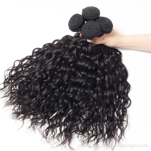 Water Wave Curly Virgin Human Hair 3 Hair Bundles With Lace Closure Full Cuticle Aligned Virgin Brazilian  Human Hair
